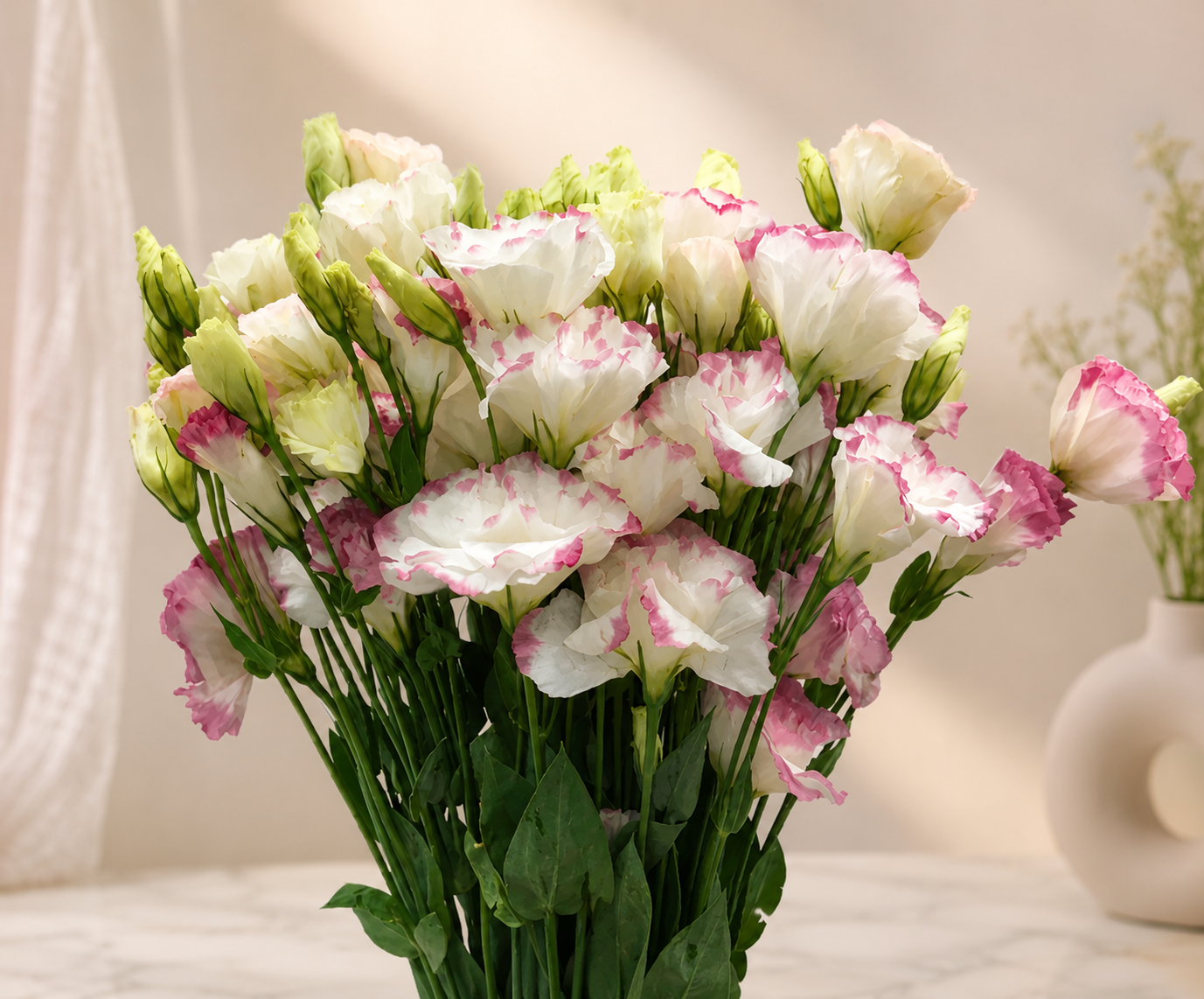 Eustoma