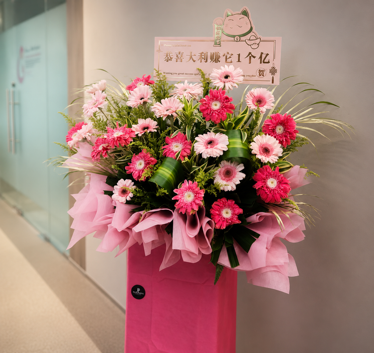 Pink gerbera daisies in a FlowerPlus Pinky Prosperity grand opening standee display, showcasing vibrant floral arrangement.