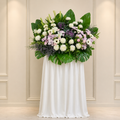 SAFE HAVEN - Condolences Standee
