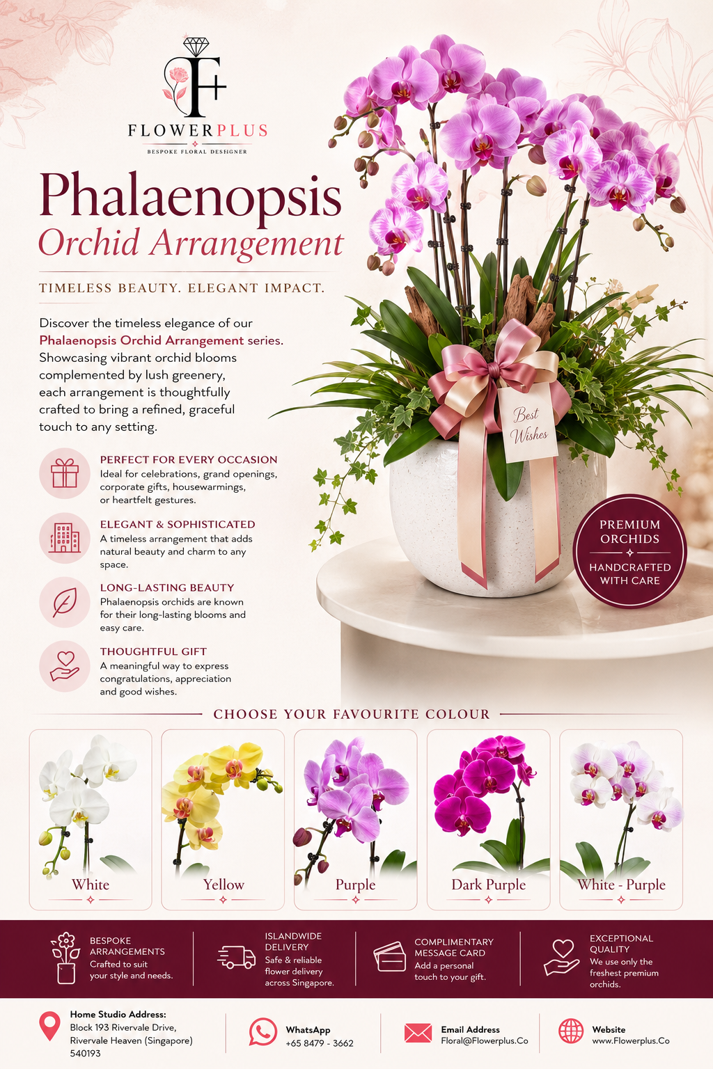 TIMELESS ELEGANCE  - Orchid Phalaenopsis Arrangements
