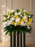 GOLDEN TRIBUTE - White Sunlight Chrys Pom Pom Condolences Standee
